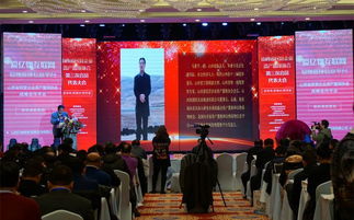 資產置換 撬動民營經濟發展的新支點與商務信息咨詢的價值